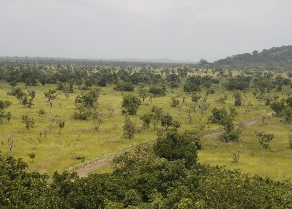 AccraTours Shai Hills Experience 1